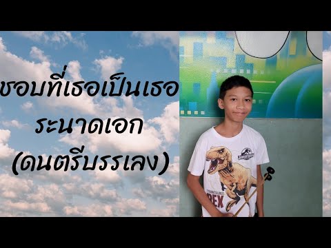 ชอบที่เธอเป็นเธอ (ระนาดเอก) ดนตรีบรรเลง