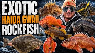 Haida Gwaii Rockfish And Salmon (Small Russian Tsunami)