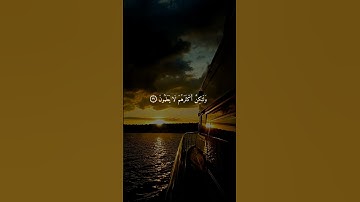 سورة الأنعام { ٣٦ ــ ٣٨ } #ياسر_الدوسري انشر تؤجر #قرآن