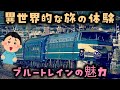 【ゆっくり解説】昭和世代に大人気「ブルートレイン」の魅力とは？
