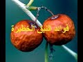 فوائد النبق (نبق السدر) المهمة .