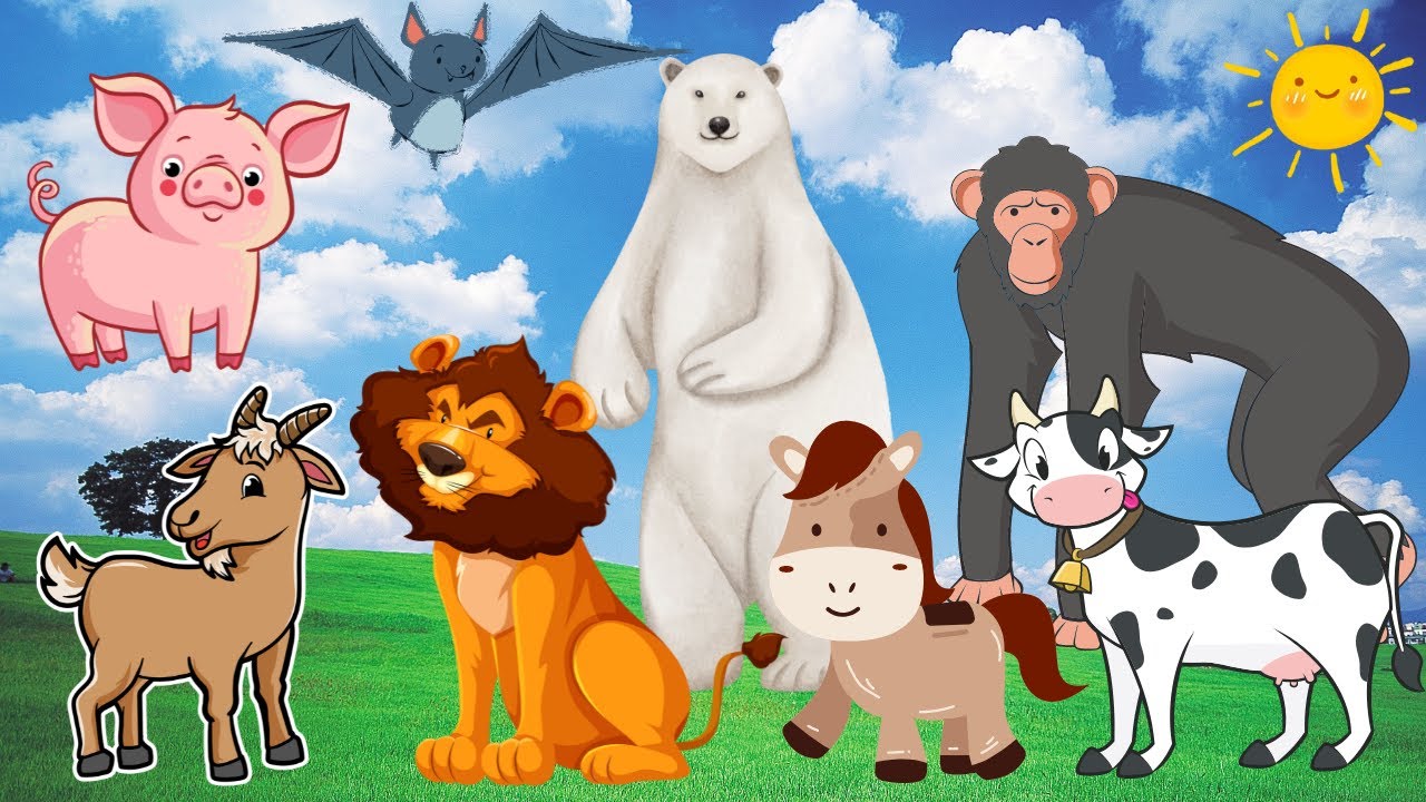 LEARN ABOUT HERBIVORES, CARNIVORES AND OMNIVORES ANIMALS COW, GOAT