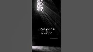 ما المسيح ابن مريم إلا رسول قد خلت من قبله الرسل | سورة المائدة رعد الكردي #القرآن_الكريم