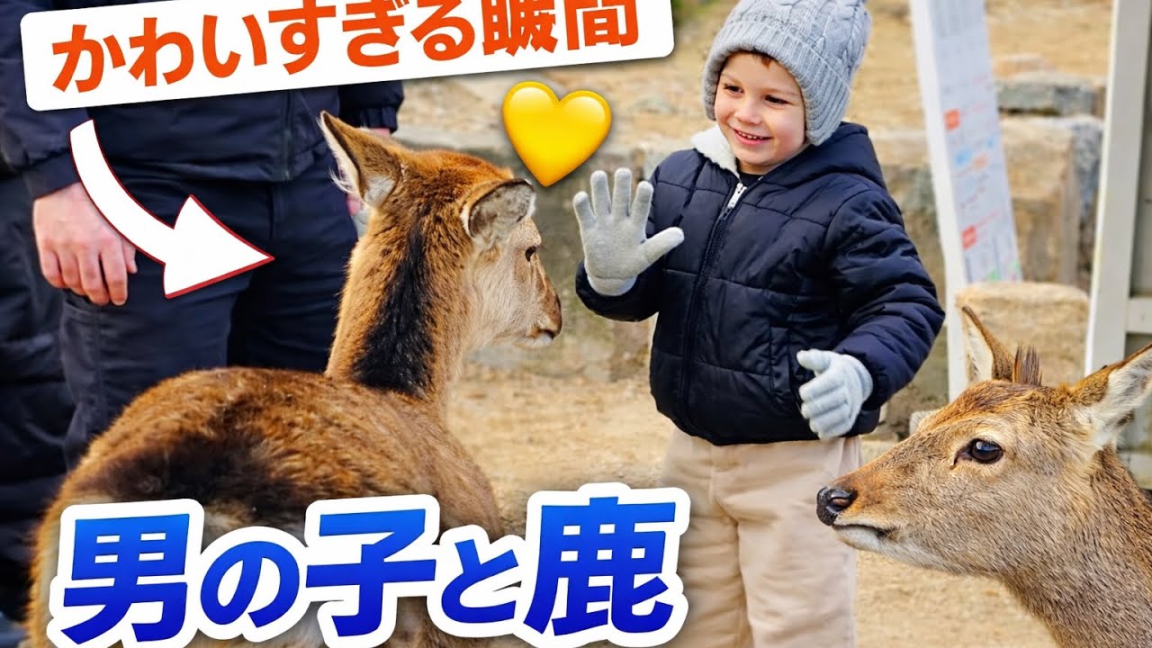 かわいすぎる瞬間！男の子と鹿🦌💛 この鹿、優しすぎる…