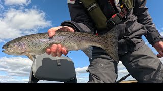 Buzzer Fishing - Flys Tactics and Catching Trout at Harelaw Fishery #flyfishing #fishing #buzzer