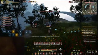 Black Desert Japan [lvl60 Giant Node War]