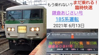 春の臨時列車 185系運用の鎌倉あじさい号に乗ってきた。 横浜〜青梅の旅