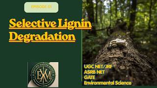Selective Lignin Degradation Explained| UGC NET/JRF ASRB NET GATE| Environmental Science