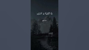 فلله الحمد رب السماوات ورب الأرض رب العالمين = سورة الجاثية = سعد الغامدي
