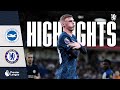 Brighton 12 chelsea  highlights  palmer breaks another chelsea record  premier league 2324