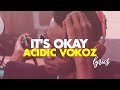 IT S OKAY ACIDIC VOKOZ LYRICS VIDEO 2024 mp3