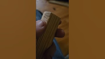 apparently this song fits your last video in your camera roll