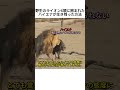 野生のライオン6頭に囲まれたハイエナが生き残った方法