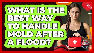 What Is The Best Way To Handle Mold After A Flood? - Your Emergency Planner