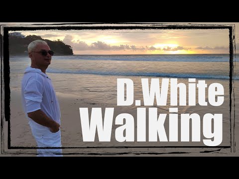 D White Walking Remastered 2025 New Italo Disco Euro Disco Europop Music Of The 80 90s  D White Walking Remastered 2025 New Italo Disco Euro Disco Europop Music Of The 80 90s