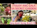 (PART 2) SECRET GARDEN, MURANG HALAMAN! MGA RARE PLANTS!!! | Mommy Liberty