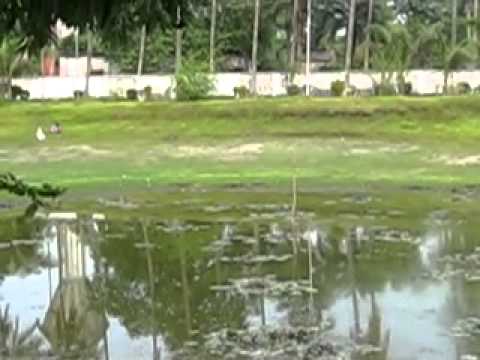 Nature of Beauty in Tajhat Rajbari Rangpur x264