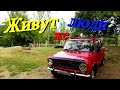 Реальная жизнь в Украине/ жизнь в Курахово