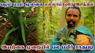 பல பயிர் சாகுபடி | ஒரே இடத்தில 40 வகையான பயிர்கள் | Five Layer Farming | Multi Crop Organic Farming