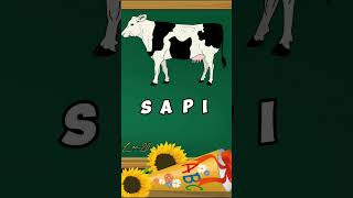 Belajar mengeja nama hewan | Sapi | #shortsvideo