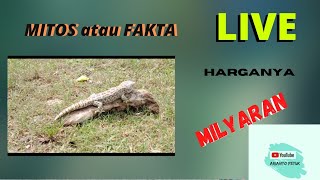 (LIVE) TOKEK HARGANY MILIARAN MITOS ATAU FAKTA