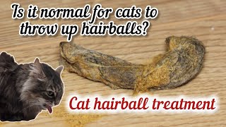 Cat's hair balls through vomiting || Symptoms and treatment of cat's hair balls || The cat's care