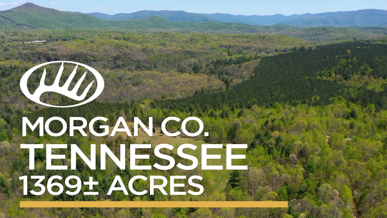 County, TN 1369± Acres YouTube