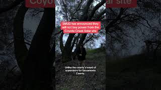 Standing Up To Wall Street To Save The Old Growth Forest At Coyote Creek - Greenwashing Green Energy