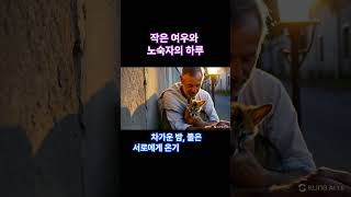 “작은 여우와 노숙자의 하루” #animals #강아지 #동물농장강아지 #cute #애견영상 #반려견