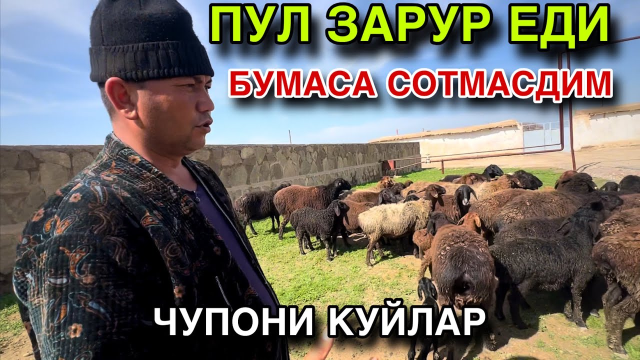 ДЕХКОНЧИЛИК КУЙЛАРИМ!☎️+998 94 497 44 06☎️+998 99 258 8078