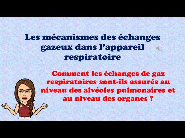 Mécanisme D'enrichissement En Oxygène En Action Clips Vidéos - Vidéo du  écologie, science: 232190645