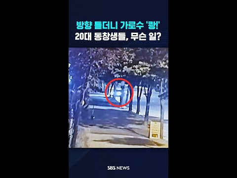 방향 틀더니 <strong>가로수</strong> &amp;#39;쾅!&amp;#39;…20대 동창생들, 무슨 일? #shorts