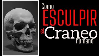 Como esculpir un Craneo humano, Parte 1/ 2. Tutorial escultura en plastilina.