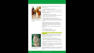 Unit 7 Activity 4 Continue