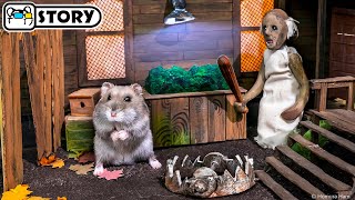 Hamster Escape from the Maze in Granny's Scary House  Homura Ham Pets