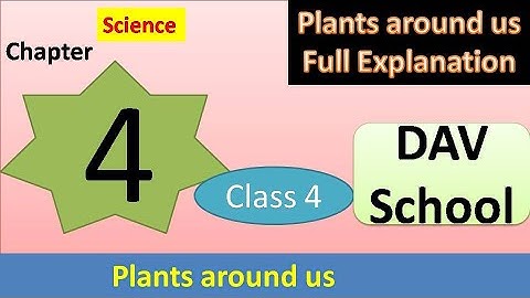DAV class 4 Science Chapter 4 Plants around us