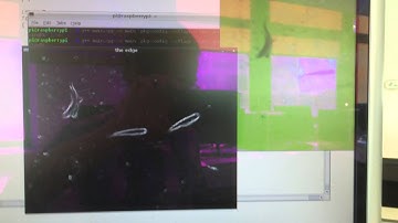 Detect fish automatically with OpenCV