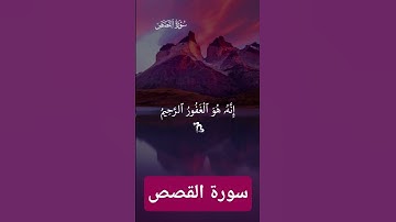 سورة القصص #اكسبلور #القزابري #دويتو #duet #المصحف #تيك_توك #الرحمن #لايك #المنذر #حالات_واتس