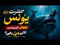 Hazrat Yunus AS 40 Din Machli Ke Pait Mein Rahe? Asal Waqia