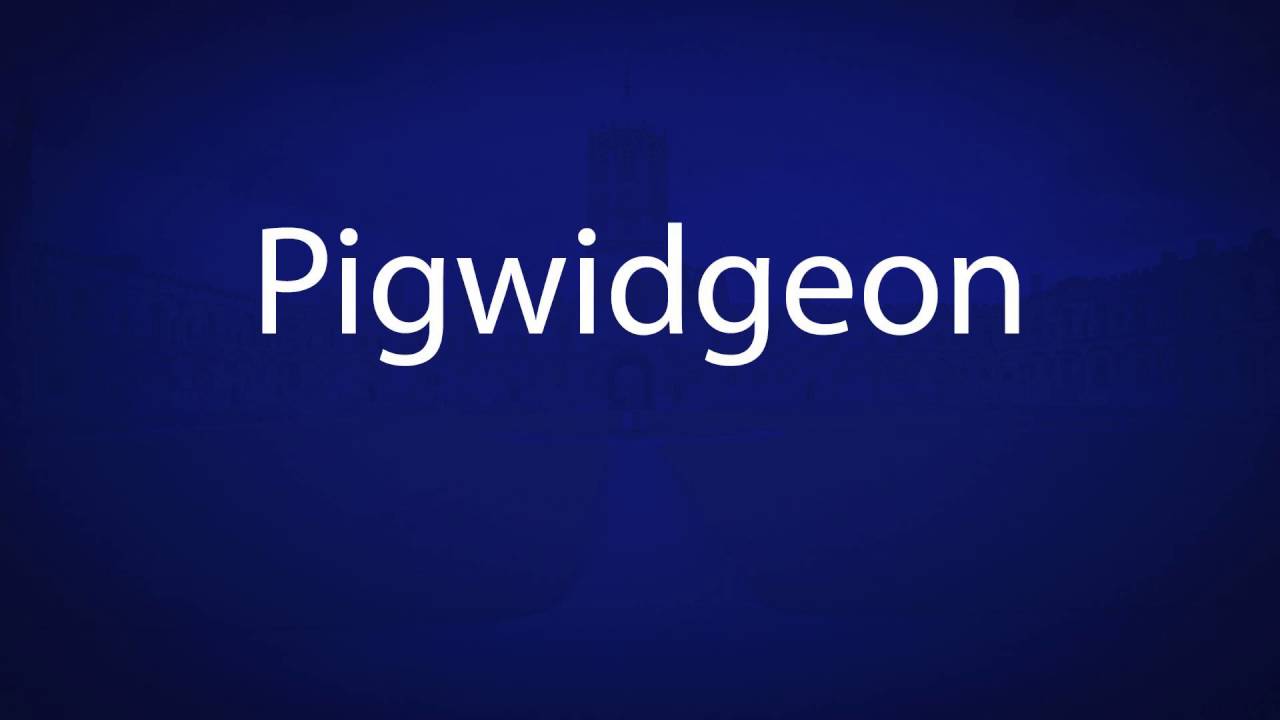 Pigwidgeon