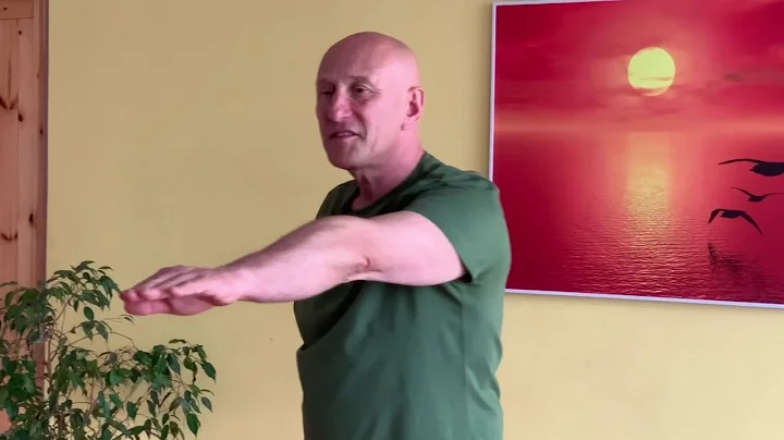 Why we Rotate in the Front crawl with Steven Shaw ...