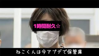 【1時間耐久】ねこくんが"逮捕確定演出"した時に使ってほしい曲