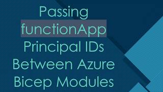 Passing functionApp Principal IDs Between Azure Bicep Modules