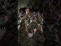Plantel de los Llanos de Contadero con Hunters Hispania