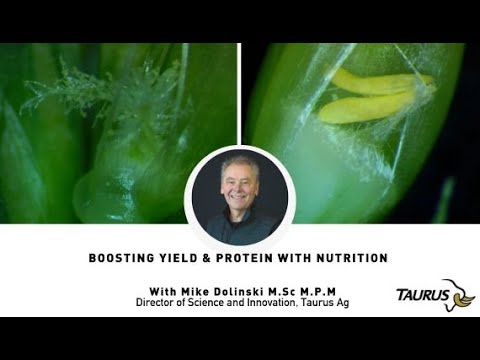 Boosting Yield & Protein with Nutrition