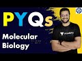 PYQs of Molecular Biology | CSIR JRF NET | | GATE | IIT-JAM | AIIMS #csir #iitjam #aiims #dbtjrf