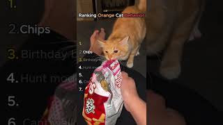 Orange cats are somethin else...💀