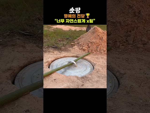 너무 자연스럽게 x됨