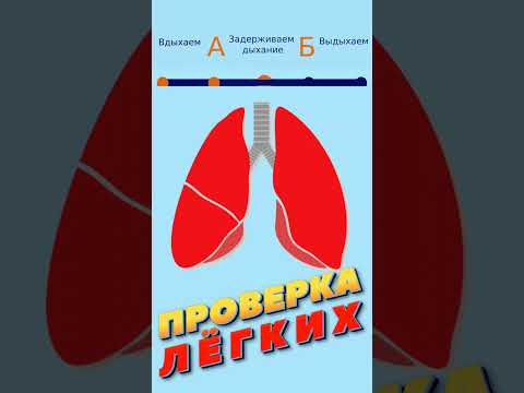 Тест на задержку дыхания. Тест на задержание дыхания. Проверим свои лёгкие Задержи дыхание. Тест на задержку дыхания футаж.