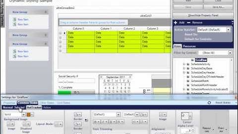 AppStylistRuntime Getting Started